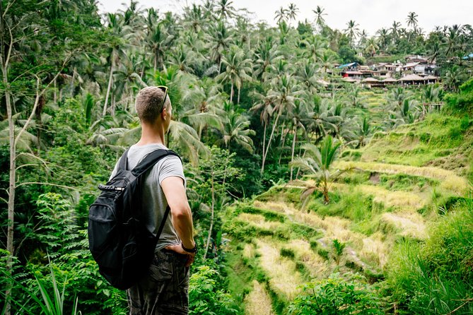 Ubud Small Group Tour: Monkey Forest, Tegalalang Rice Terraces and more - The guides are a major part of the value