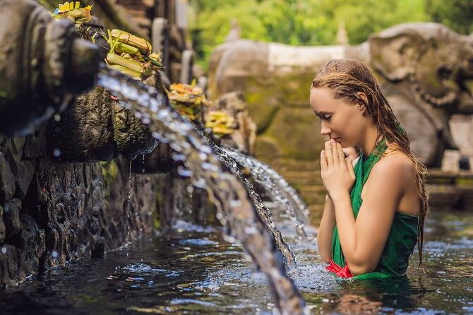 UBUD Spring Temple, Waterfall, Rice Terraces Private Tour - Four Ubud highlights in one private vehicle