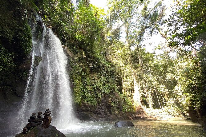UBUD Spring Temple, Waterfall, Rice Terraces Private Tour - Why the private format can be worth $129.99