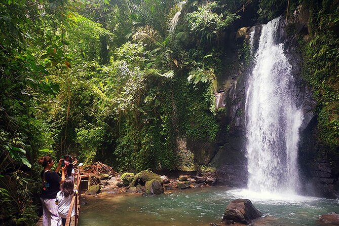 UBUD Spring Temple, Waterfall, Rice Terraces Private Tour - Walking among the monkeys at Sacred Monkey Forest