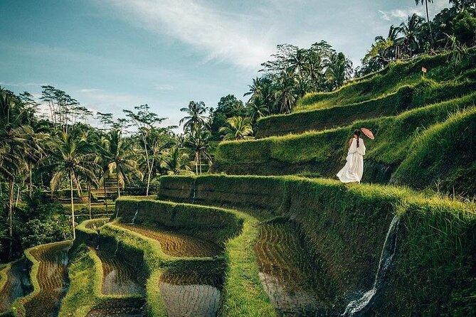 Ubud: Swing - Monkey Forest - Waterfall - Temple - Rice Terraces - Art Crafts - Tegallalang Rice Terrace, beauty shaped by farm work