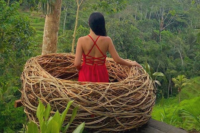 Ubud: Swing - Monkey Forest - Waterfall - Temple - Rice Terraces - Art Crafts - My Swing Bali, the most camera-focused stop