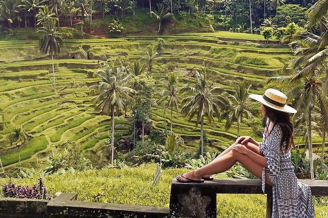 Ubud: Swing - Monkey Forest - Waterfall - Temple - Rice Terraces - Art Crafts - The long day from Kuta, and why timing matters