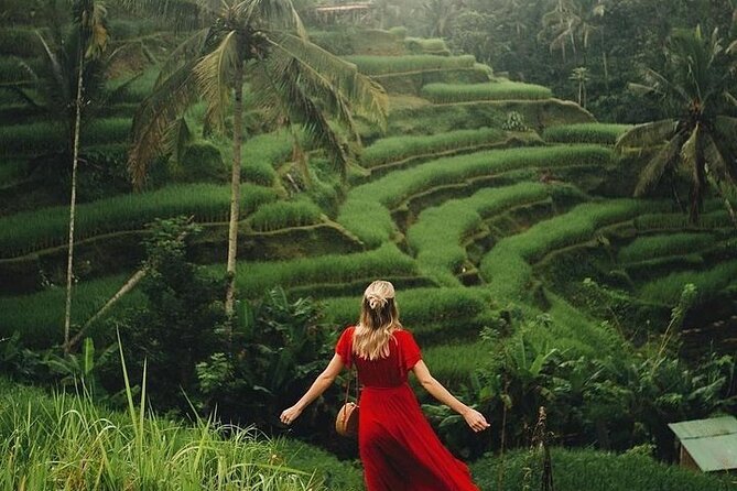 Ubud: Swing - Monkey Forest - Waterfall - Temple - Rice Terraces - Art Crafts - Tegenungan Waterfall, jungle views with a short visit