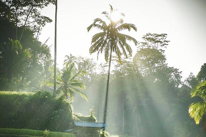 Ubud Temples, Waterfalls, Rice Terraces & Balinese Culture - Reaching Tukad Cepung Waterfall