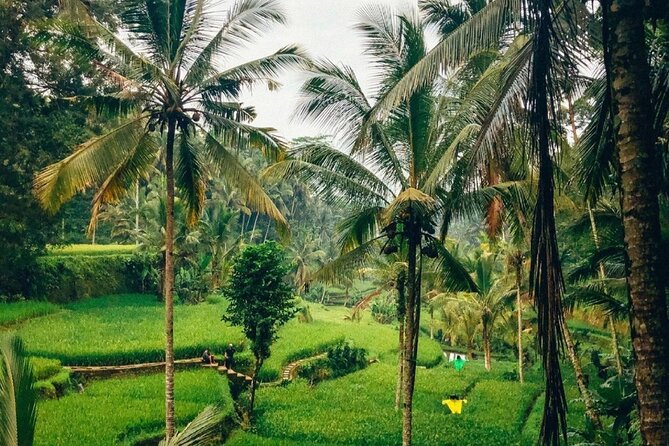 Ubud Temples, Waterfalls, Rice Terraces & Balinese Culture - Transport, timing, and what the $35 covers