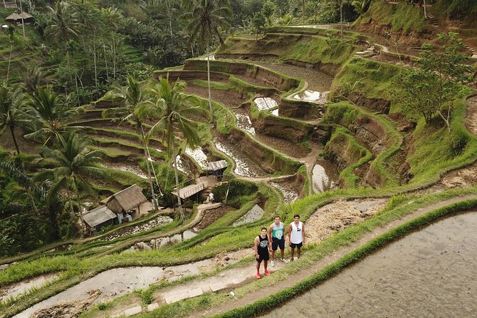 Ubud Top Attractions: Waterfalls, Temples and Rice Terraces - Gunung Kawi Sebatu Temple and its clear pools