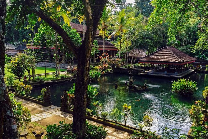 Ubud Top Attractions: Waterfalls, Temples and Rice Terraces - D Alas Swing: dramatic views and a lively change of pace
