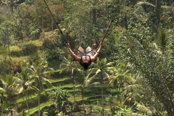 Ubud Top Attractions: Waterfalls, Temples and Rice Terraces - Tegalalang Rice Terrace: a short walk through working farmland