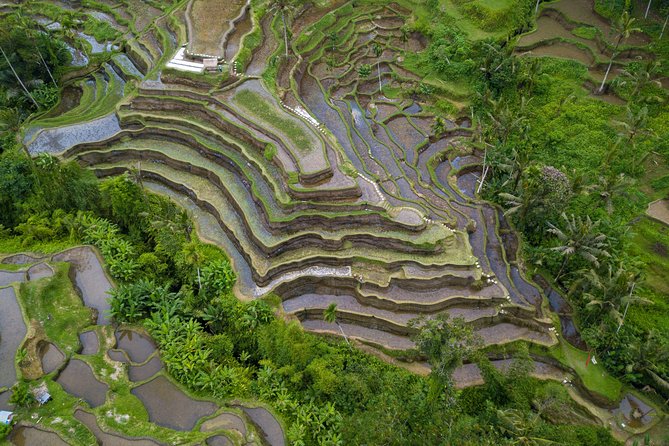 Ubud Top Attractions: Waterfalls, Temples and Rice Terraces - D Alas Warung: lunch with a jungle valley view