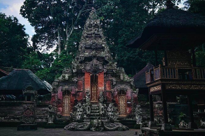 Ubud Top Tours to Discover Bali’s Cultural and Natural Wonders - Pakudui Village and the Tegalalang rice terraces