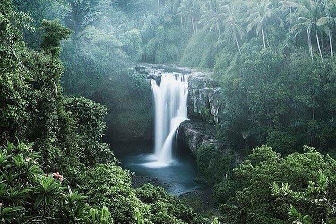 Ubud Top Tours to Discover Bali’s Cultural and Natural Wonders - Tirta Empul, the day’s most meaningful cultural stop