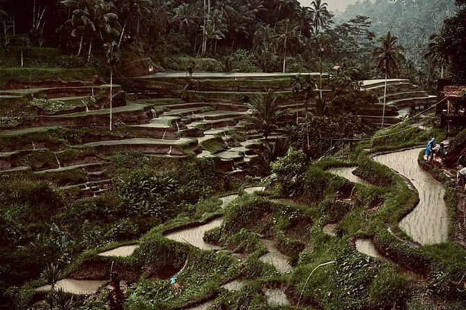 Ubud Top Tours to Discover Bali’s Cultural and Natural Wonders - Gung Aji traditional house, a short look at Balinese home life