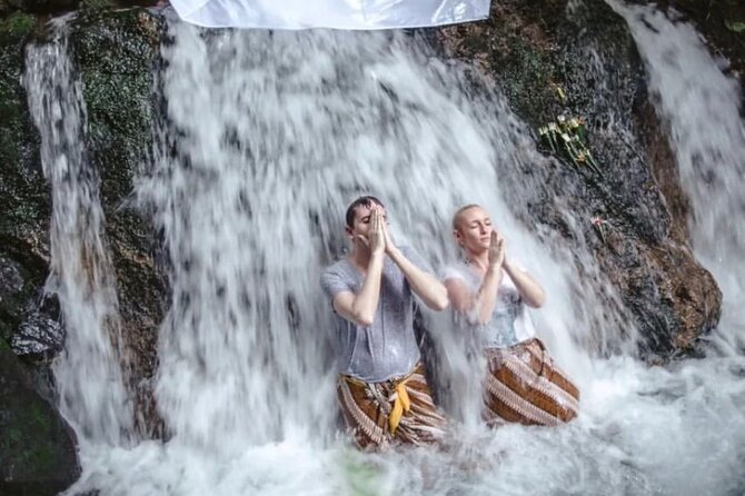 Ubud Tour - Balinese Healing By Shaman And Self Purification - Why the $74 price can be good value