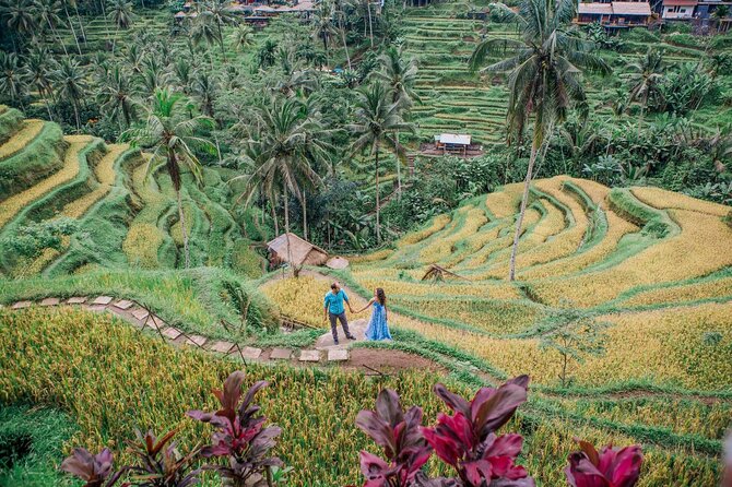 Ubud Tour - Best of Ubud - All Inclusive - A short stop at Bali Traditional House Gung Aji