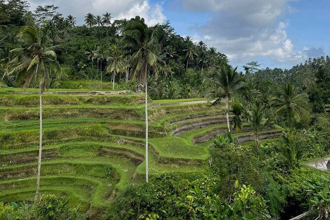 Ubud Tour - Highlight of Ubud - Traditional Tour - Five stops that explain Ubud