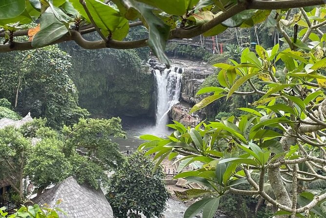 Ubud Tour - Highlight of Ubud - Traditional Tour - Simple ways to get more from the day