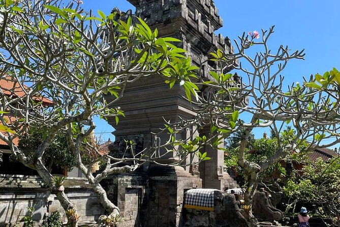 Ubud Tour - Highlight of Ubud - Traditional Tour - Should you book this private Ubud day?