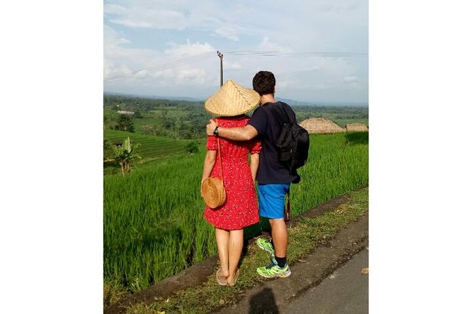 Ubud Tour Monkey Forest, Rice Terrace, Swing, Temple, Waterfall - What the $60 private price really buys