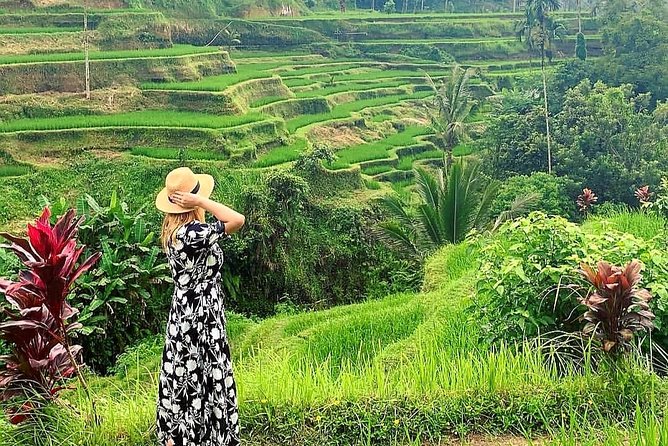 Ubud Tour - Ubud Highlight - Private Tour All inclusive - Tegenungan Waterfall starts the day with a short walk