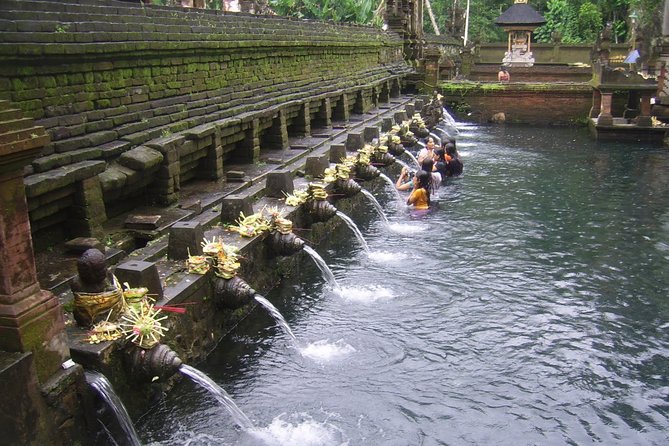 Ubud Tour - Ubud Highlight - Private Tour All inclusive - The route can include coffee and local details