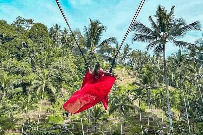 Ubud Tour with all includes - A long route made easier by private transport