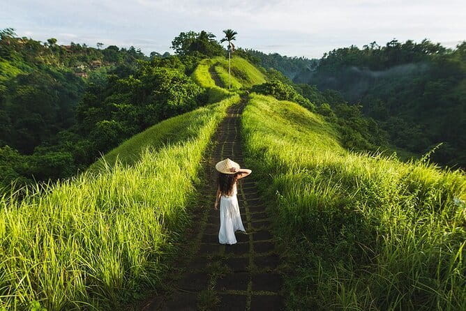 Ubud Tour with all includes - Tegenungan Waterfall, with time to walk or swim