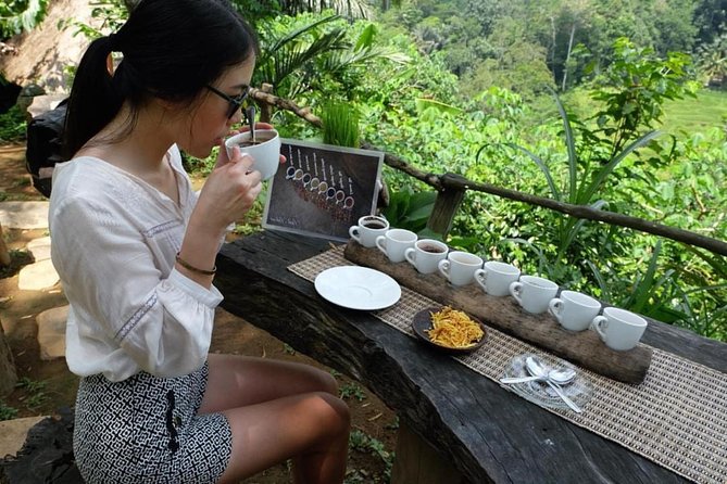 Ubud Tour with Swing, Temple, Monkey Forest, and Waterfall - Happy Swing Bali: the day’s big photo stop