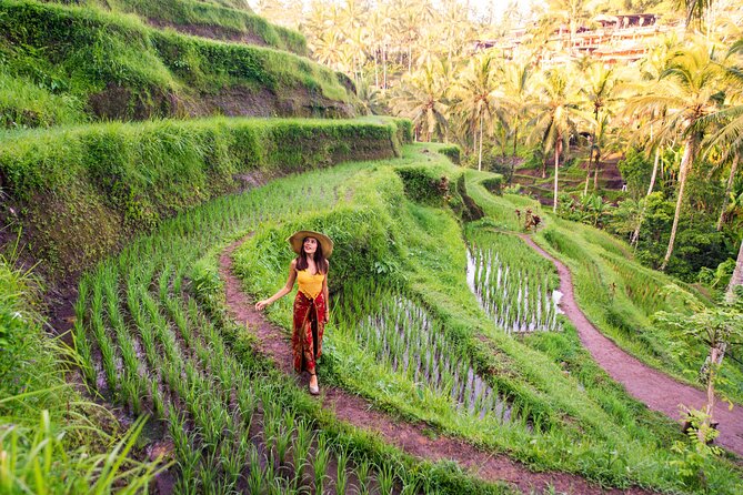 Ubud Tour with Swing, Temple, Monkey Forest, and Waterfall - Tegalalang Rice Terrace: beautiful, brief, and busy