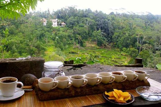 Ubud Trip, The Best of Ubud in a day - All Inclusive - Tegalalang Rice Terrace and the farming tradition