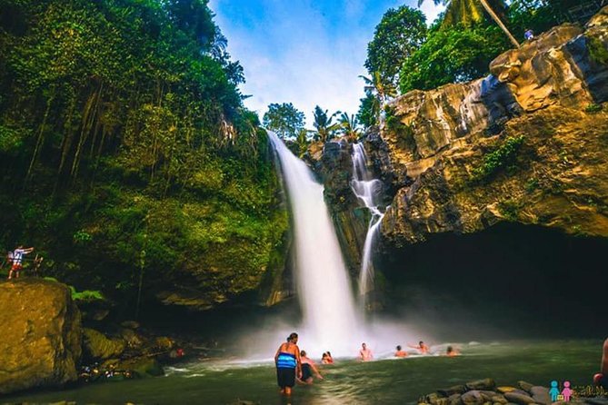 Ubud Trip, The Best of Ubud in a day - All Inclusive - What the private car and guide add