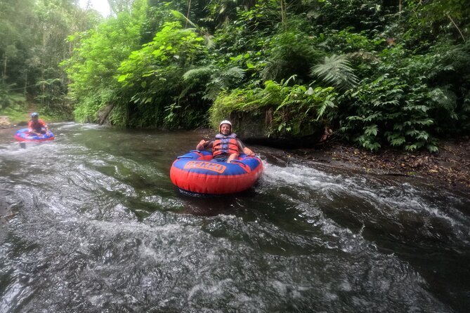 Ubud Tubing Adventure Holy Spring Temple Private Guided Tour - Coffee and village views in Tampaksiring