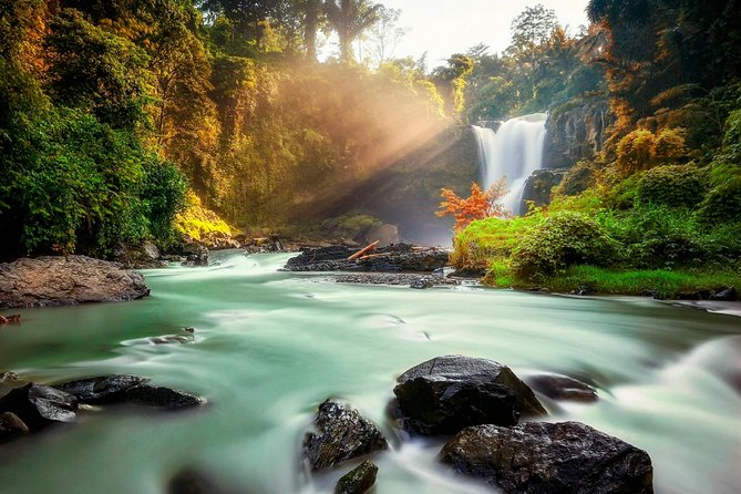Ubud Village Sightseeing, Famous Paddy Field And Ubud Waterfall - Ubud Market and Palace: two sides of local life
