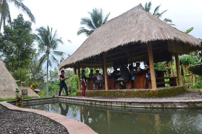 Ubud Village Sightseeing, Famous Paddy Field And Ubud Waterfall - Tirta Empul Temple and the holy springs