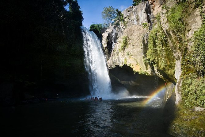 Ubud Village Sightseeing, Famous Paddy Field And Ubud Waterfall - What the $45 price really covers