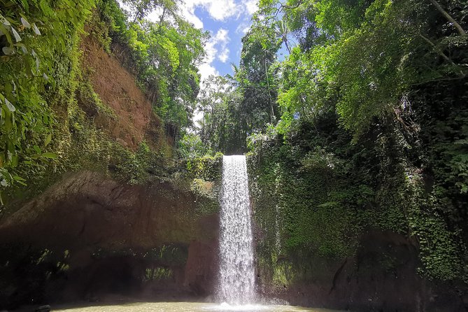 Ubud Village, Tegalalang Rice Terrace Swing, Tirta Empul Temple and Waterfafall - Walking Through Campuhan’s Two-River Beginning