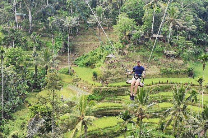 Ubud Village, Tegalalang Rice Terrace Swing, Tirta Empul Temple and Waterfafall - Is $32.24 Per Person Good Value?