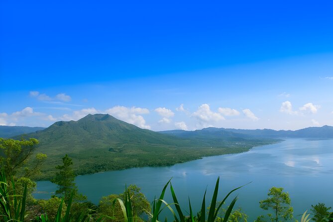 Ubud Village, Waterfall and Kintamani Volcano Tour - The Monkey Forest adds wildlife and a bit of caution