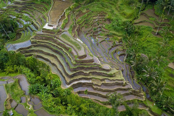Ubud Volcano Lake and Natural Hot Spring Tour - Tegenungan Waterfall to finish the nature circuit