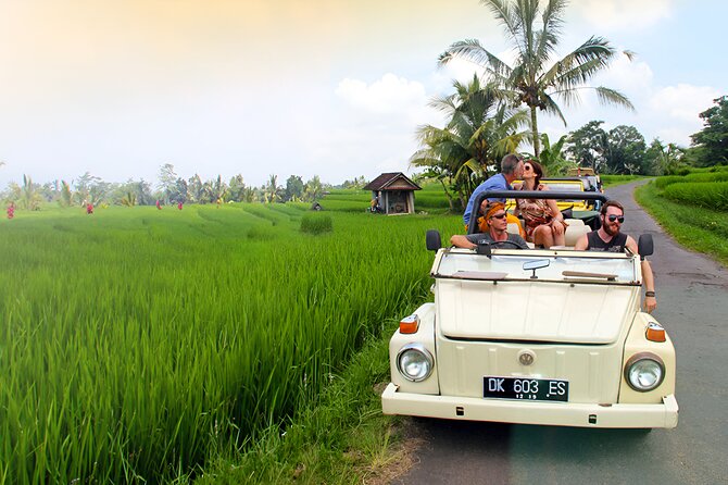Ubud VW Safari Bali Tour - Volkswagen Classic Car Trip - Lunch, entrance fees, and what the price covers