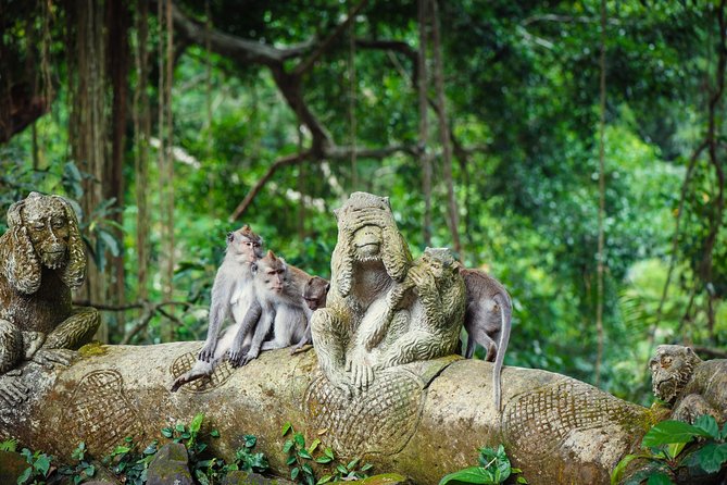 Ubud: Waterfall, Rice Terraces, and Monkey Forest Private Tour - Why this Ubud day works well
