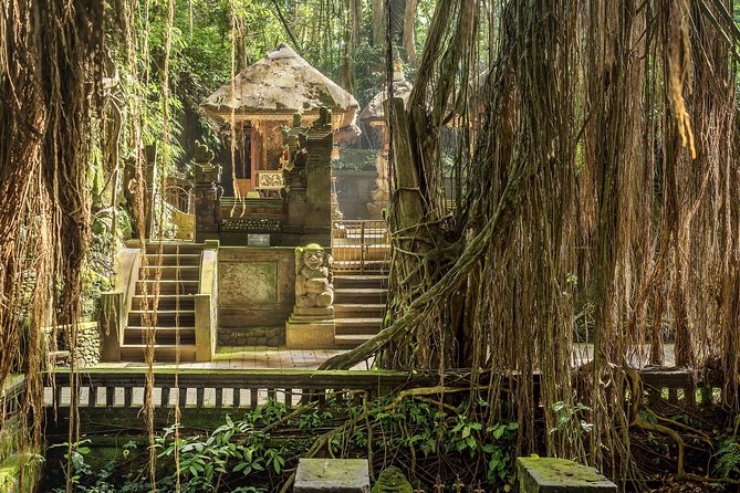 Ubud: Waterfall, Rice Terraces, and Monkey Forest Private Tour - Cooling off at Tegenungan Waterfall
