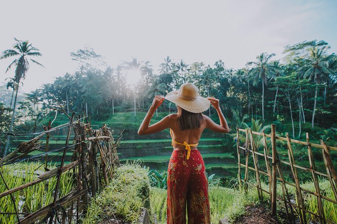 Ubud: Waterfall, Rice Terraces, and Monkey Forest Private Tour - One hour among the macaques