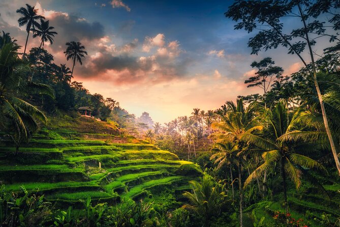 Ubud waterfall, rice terraces, and swing explore - Tegalalang rice terraces: an hour of green steps
