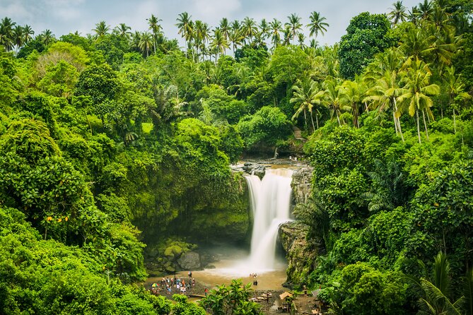 Ubud waterfall, rice terraces, and swing explore - Balinese coffee and the local side of the visit