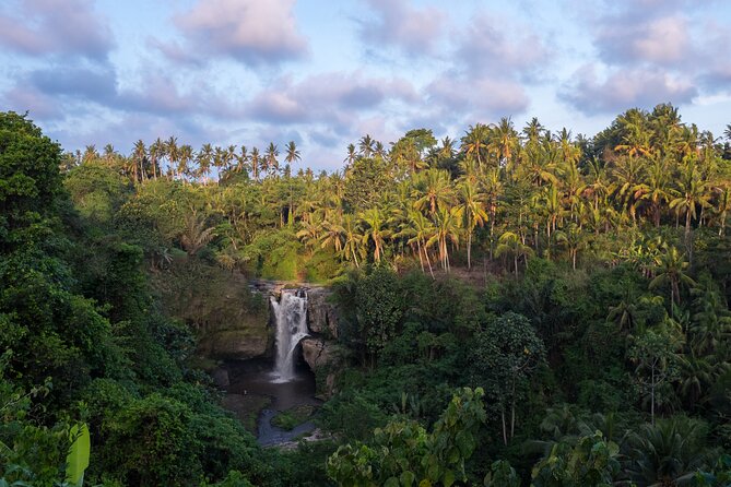 Ubud waterfall, rice terraces, and swing explore - How the private format changes the day
