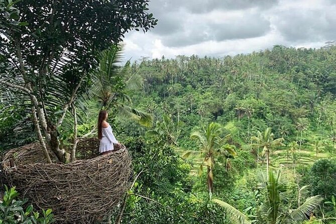 Ubud waterfall, rice terraces, and swing explore - Who will enjoy this Ubud outing most