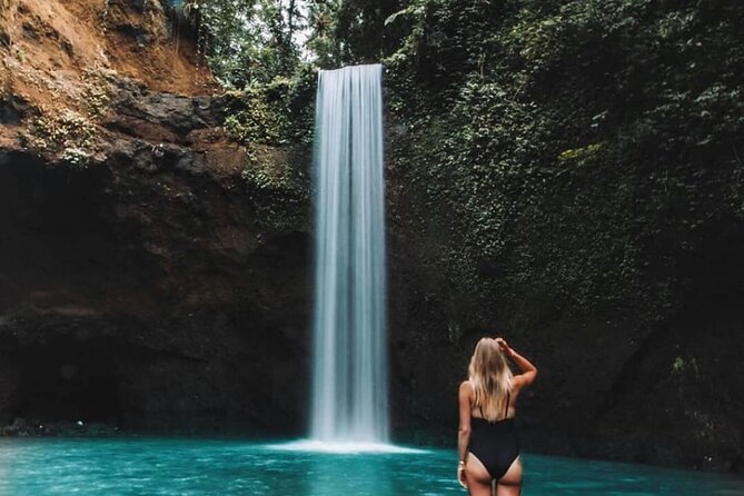 Ubud Waterfalls, Rice Terrace & Jungle Swing - Private Tour - What the guide and driver add to the day