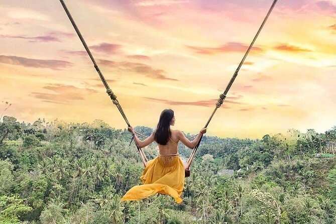 Ubud Waterfalls, Rice Terrace & Jungle Swing - Private Tour - Transport, pickup, and group size