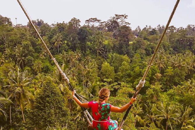 Ubud Waterfalls, Rice Terrace & Jungle Swing - Private Tour - Why the $23.38 price can be good value